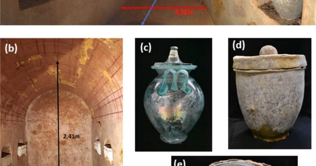 Іспанські археологи дослідили найстаріше у світі вино - Про історію та культуру на we.ua
