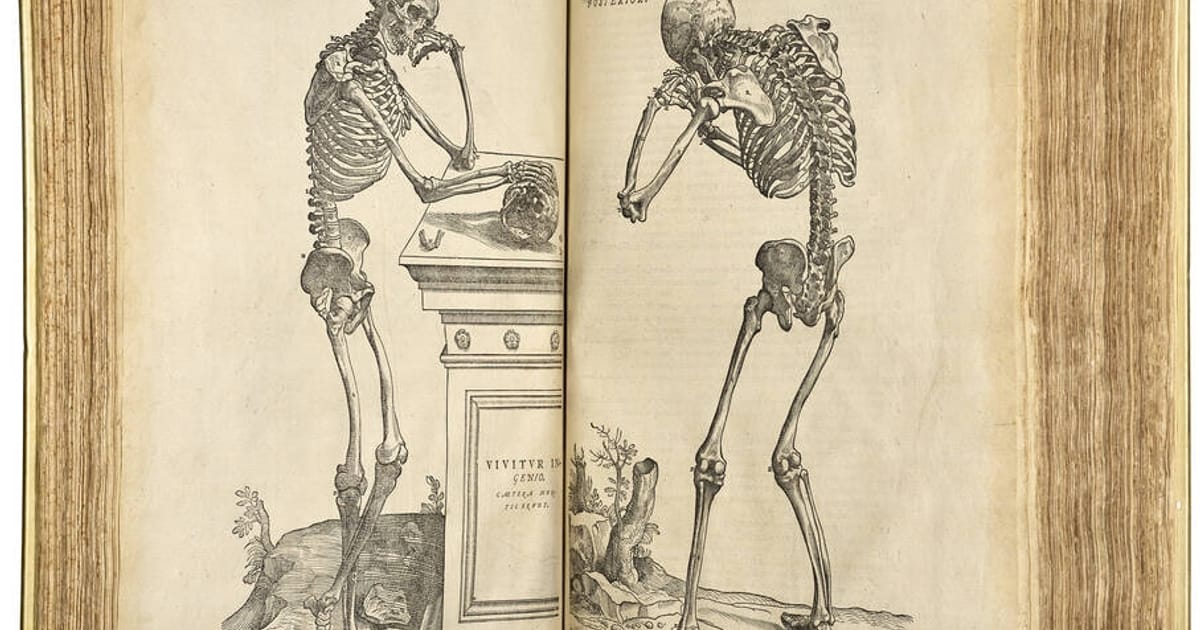 Рідкісний підручник з анатомії продано на аукціоні Christie's за 2,2 мільйона доларів - Про історію та культуру на we.ua