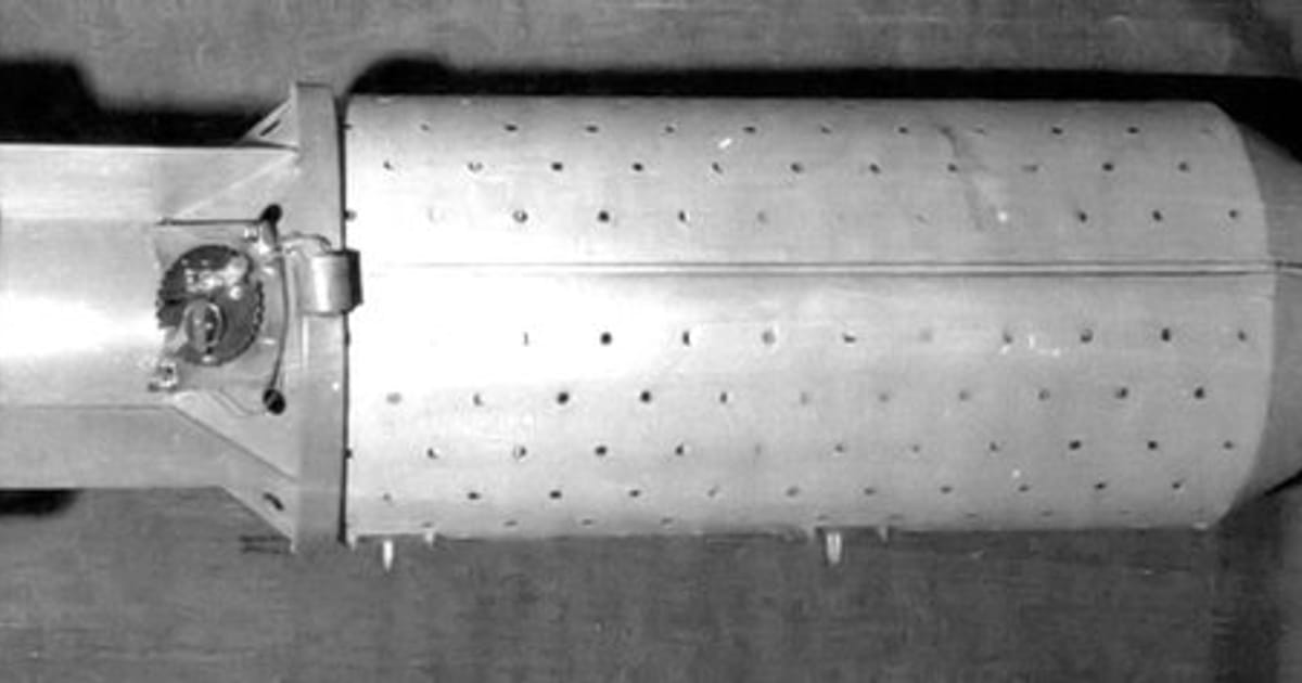 Бомби з кажанами - експериментальна зброя, розроблена Сполученими Штатами. - Залізна Душа на we.ua