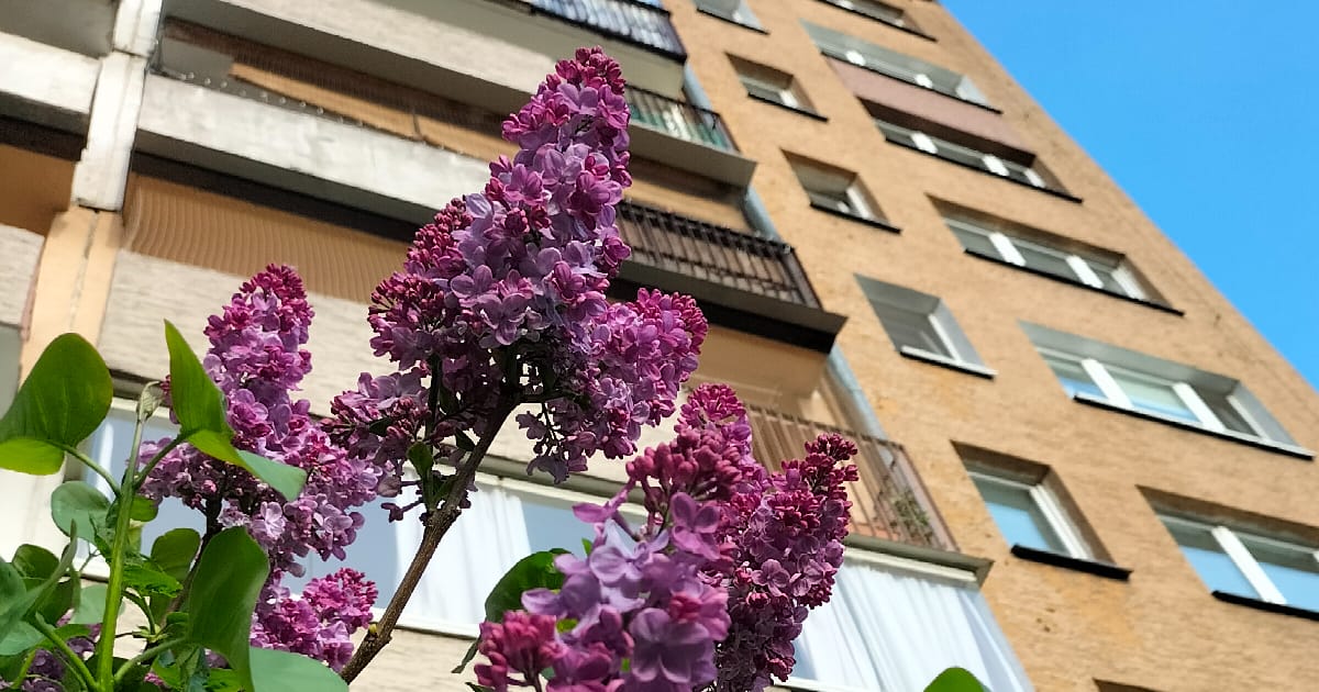 Фіолетові плями - Олександра Ординська на we.ua