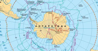 Картинка довгочиту