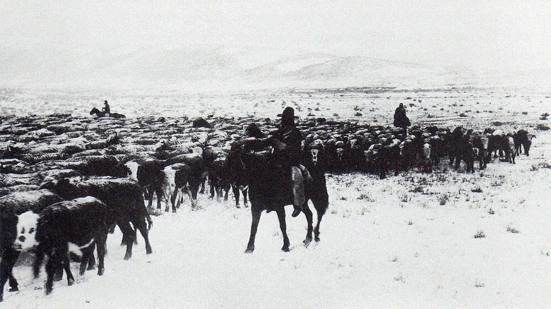 The Big Die-Up: How The Winter Of 1887 Changed The U.S. Forever