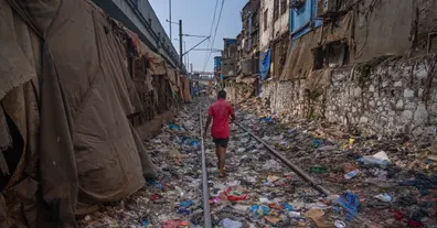 Картинка довгочиту