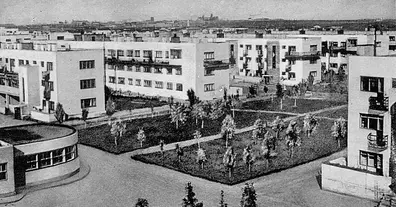 Картинка довгочиту