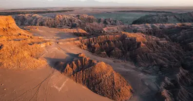 Картинка довгочиту