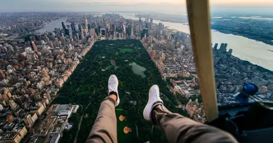 Картинка довгочиту