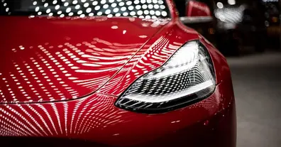 Картинка довгочиту