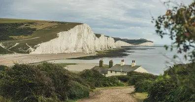 Картинка довгочиту