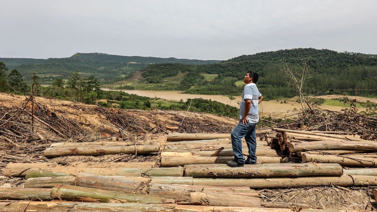 A deforested area on indigenous Xokleng land, illegally used by settlers to plant pine trees, in José Boiteux, Santa Catarina state, Brazil.