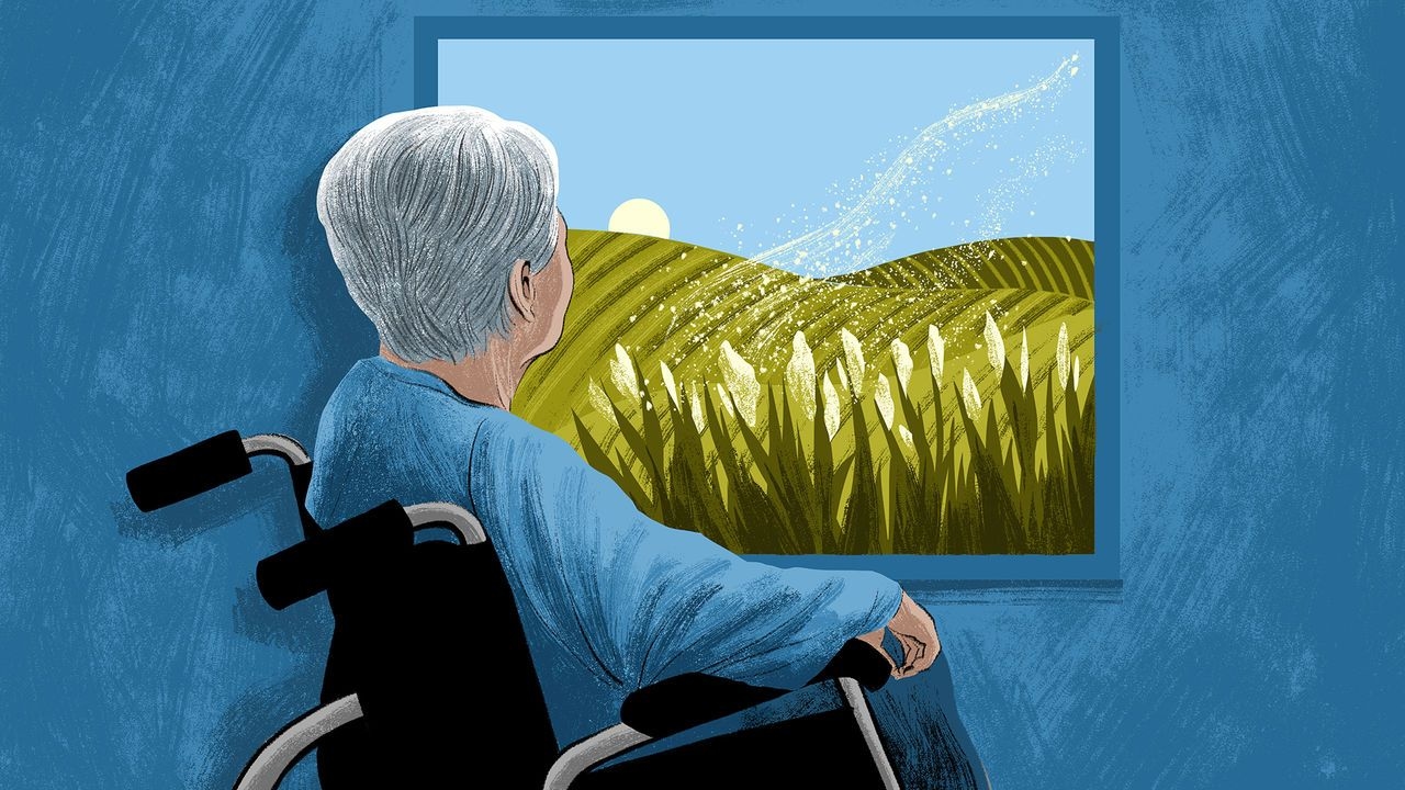 Illustration depicting an elderly person sitting in a wheelchair near a window, contemplating the landscape.