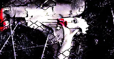 Картинка довгочиту