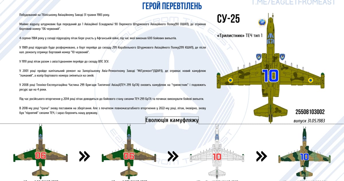 Герой перевтілень ‒ Су-25 б/н 10 - Eastern Eagle на we.ua