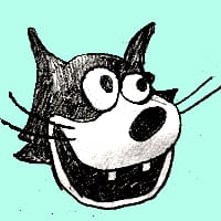 псевдонім developer