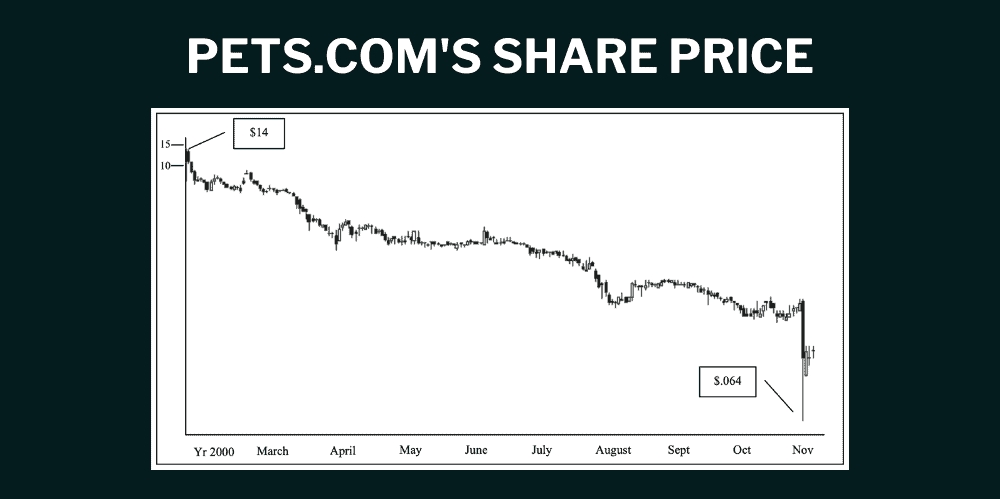 Pets.com's share price throughout the year 2000.