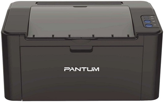 Pantum P2207