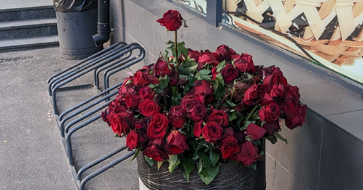 Нездатний - Viva la Kuki на we.ua