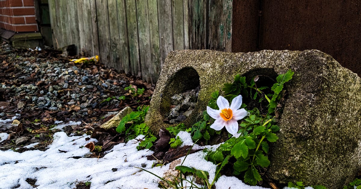 Страх відповідальності - Viva la Kuki на we.ua