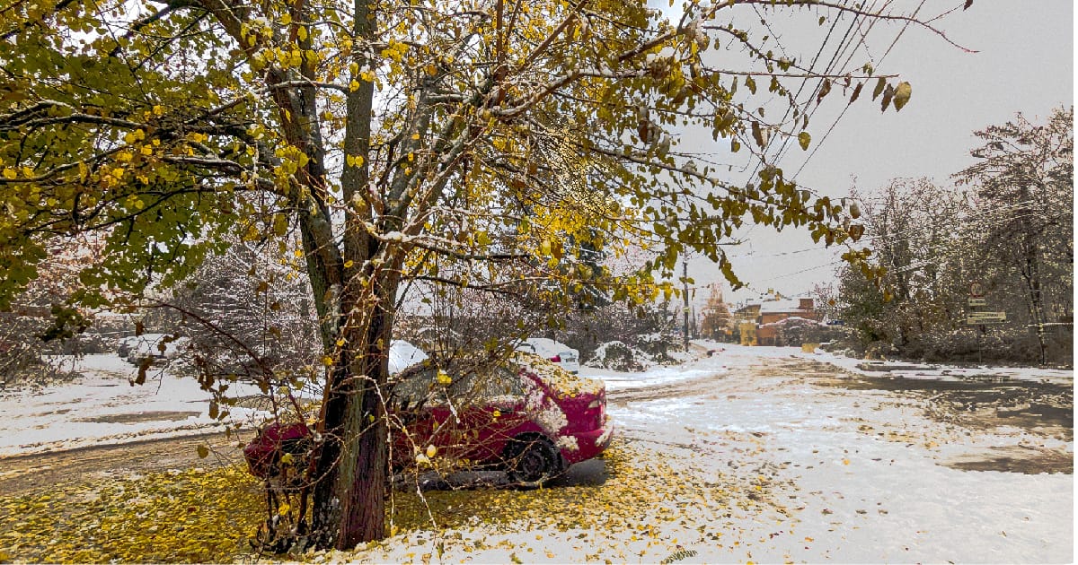 П’ятниця в масштабі року - Viva la Kuki на we.ua