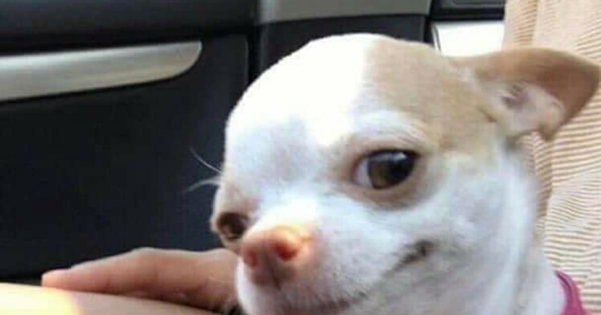 Приколи по українськи для гарного настрою - То є приколи на we.ua