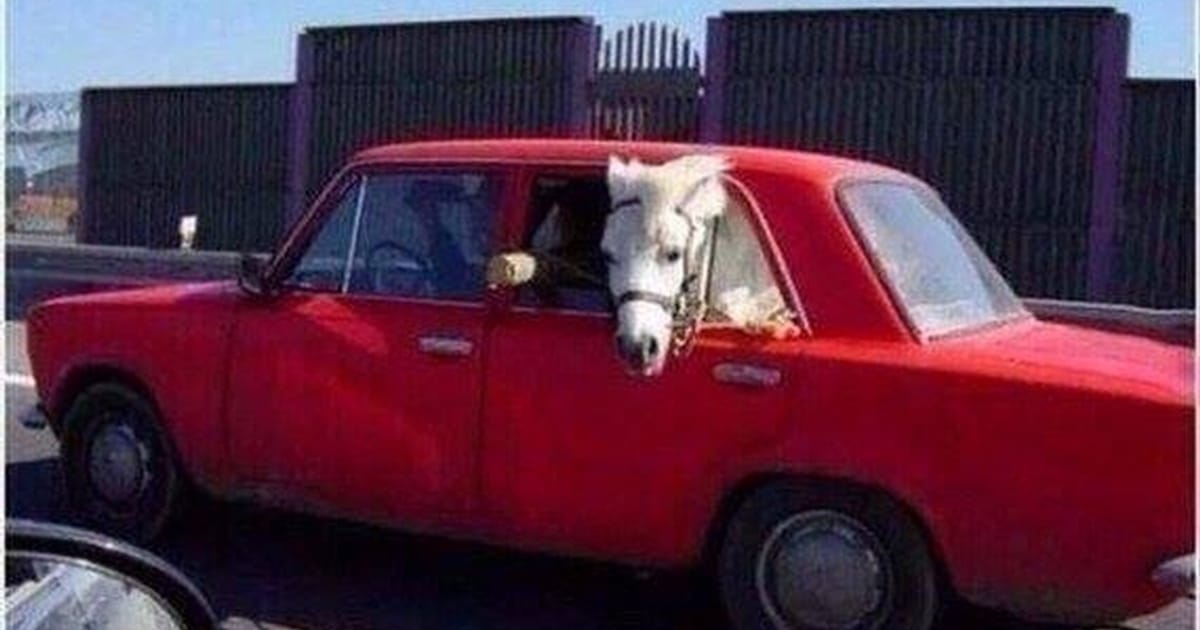 Фотоприколи з коментарями українською смішно - То є приколи на we.ua