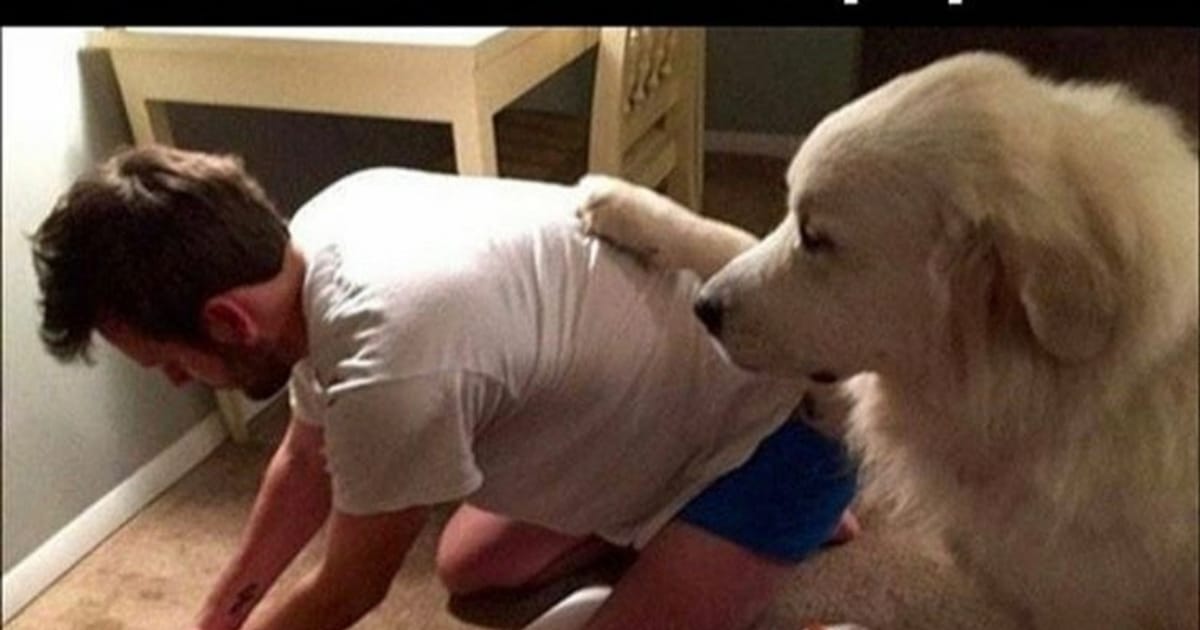 Картинки приколи українською меми - То є приколи на we.ua