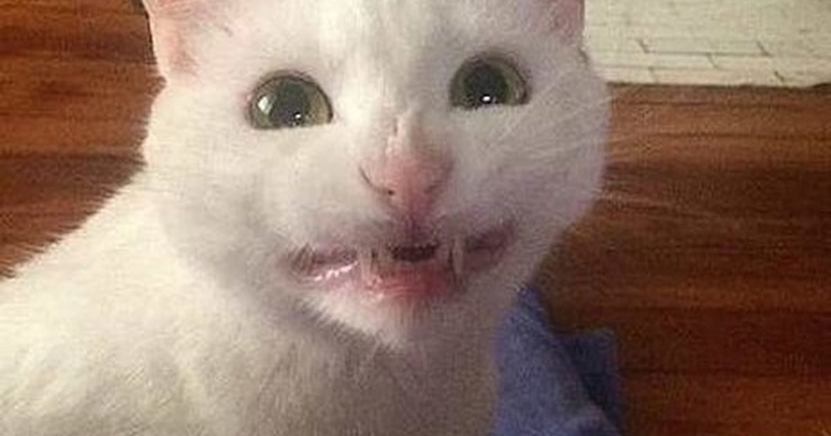 Фотоприкол підбірка веселих мемів - То є приколи на we.ua