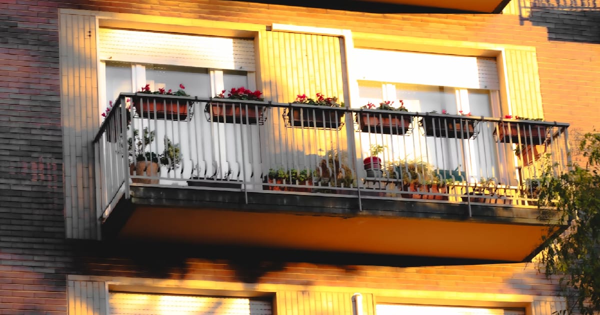 Що садити на балконі/у дворі, щоб потім їсти й економити - Зручно. Економно. Надійно на we.ua