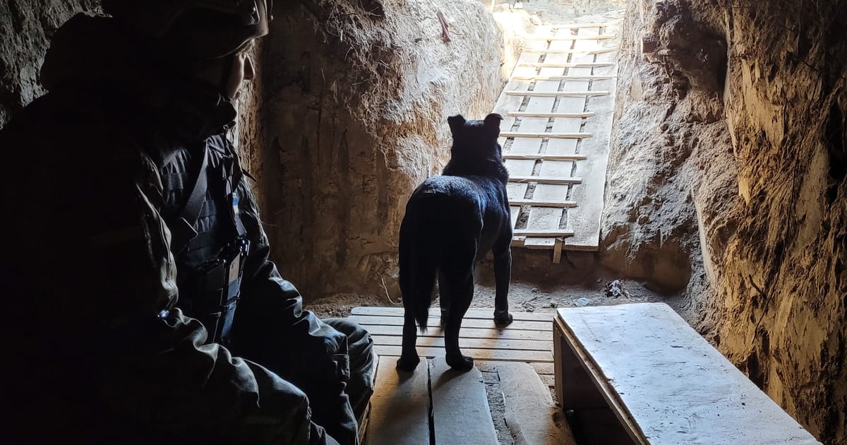 Про війну, пошук щастя, та D&D - Річард про D&D 🇺🇦 на we.ua