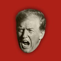Гамбіт Трампа