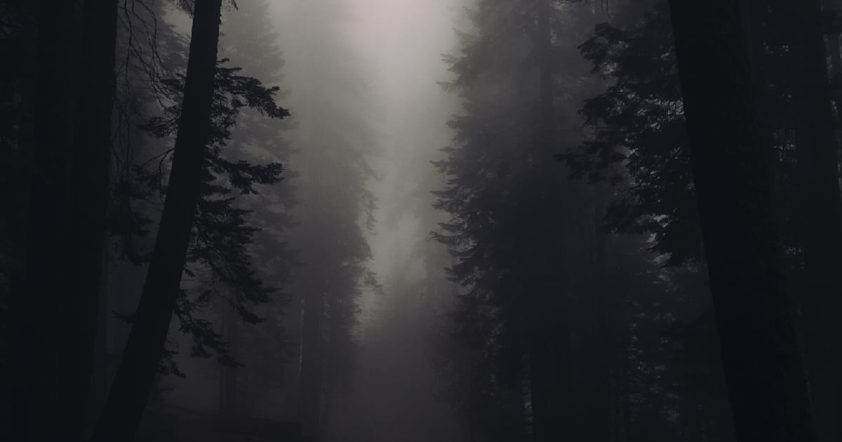 Довгоочікуваний мир - Проєкт 