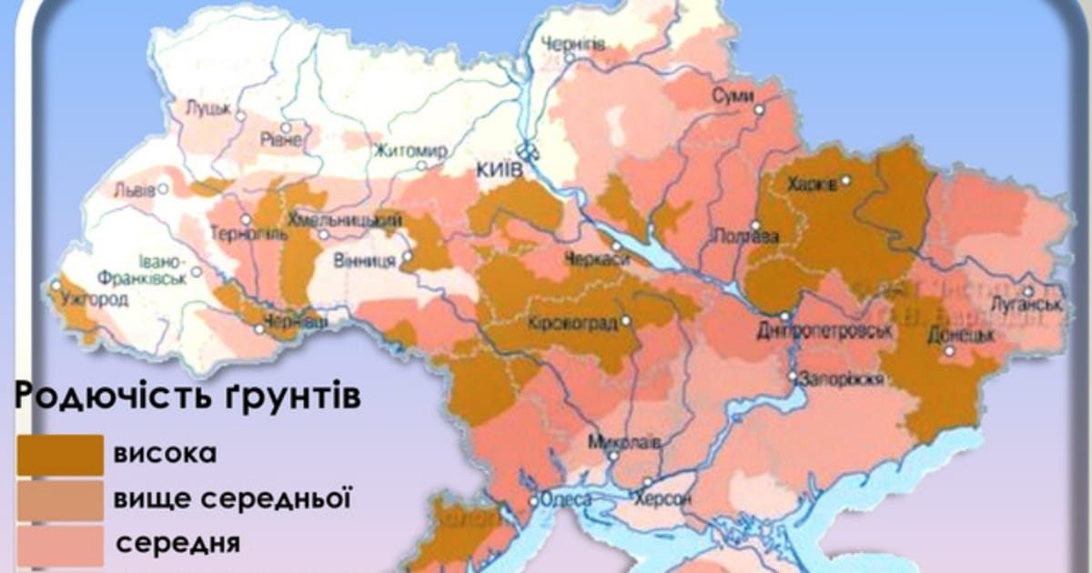 Інвестиції в сільськогосподарську землю - Smart Wallet на we.ua