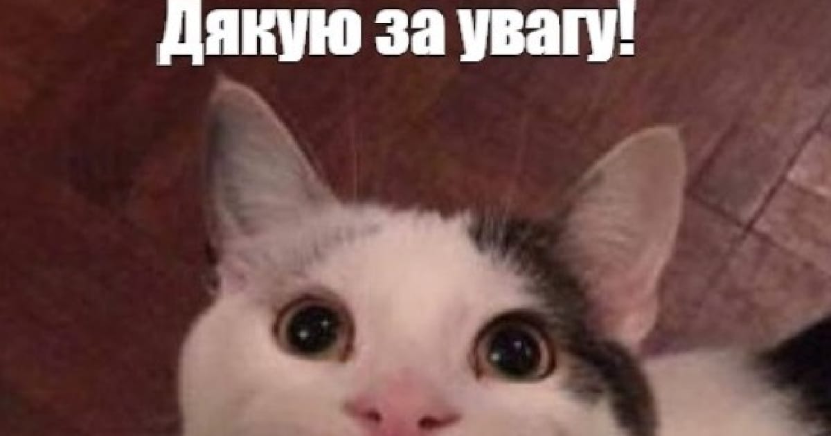 Привиди на дорозі або чому слід дотримуватись ПДР - Achtung F на we.ua