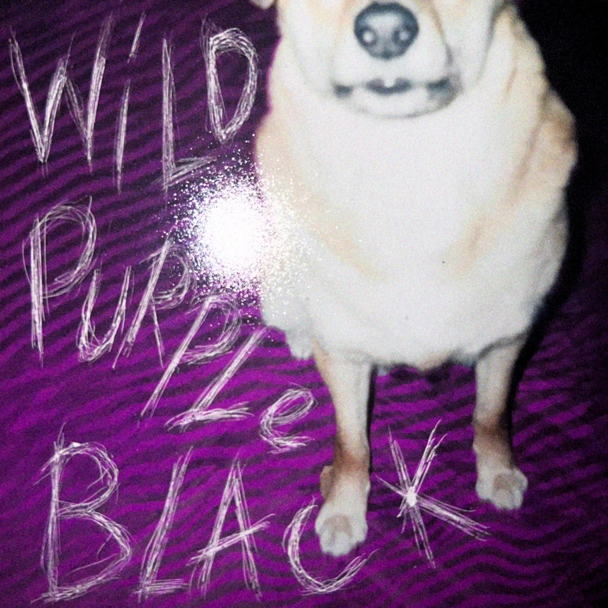 Альбом «Wild Purple Black» — Lybid_1 — Apple Music