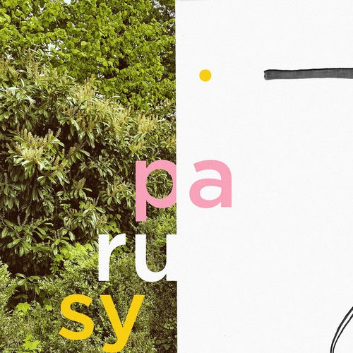 Parusy
