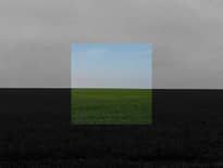 Картинка з посилання