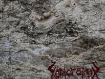 Картинка з посилання