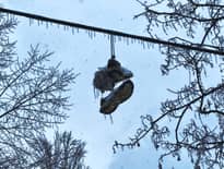 Картинка з посилання