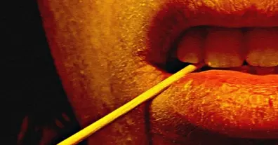 Картинка довгочиту