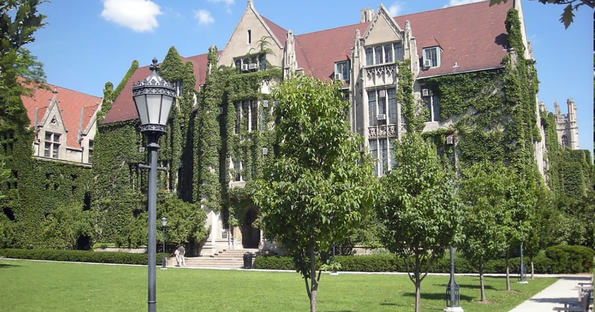 Ivy League - Cubic Turds на we.ua