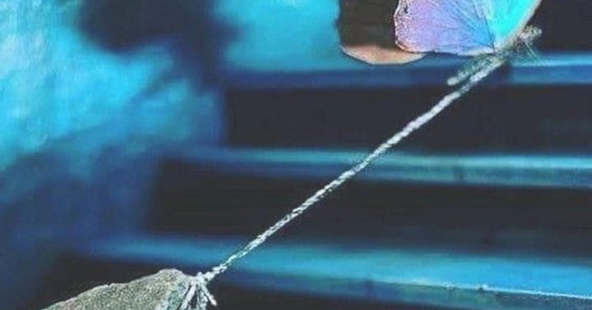 Чужа думка і нав'язливі мухи - Тетяна Оринянська на we.ua