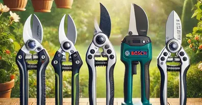 Картинка довгочиту