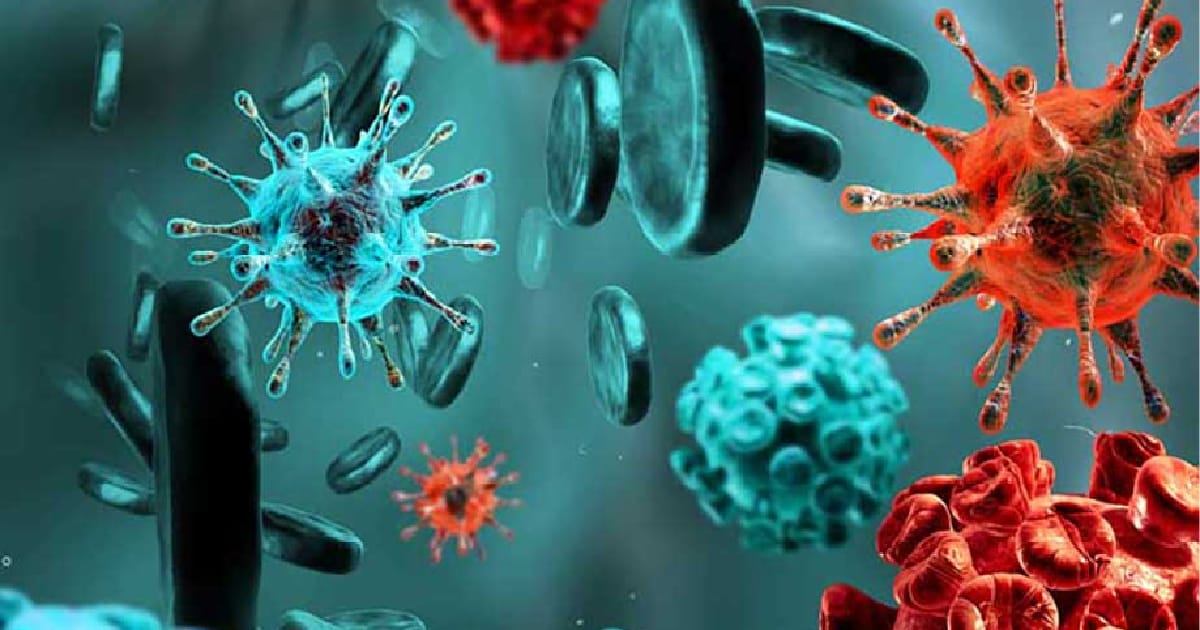 7 етапів забруднення організму - PREMIUM на we.ua