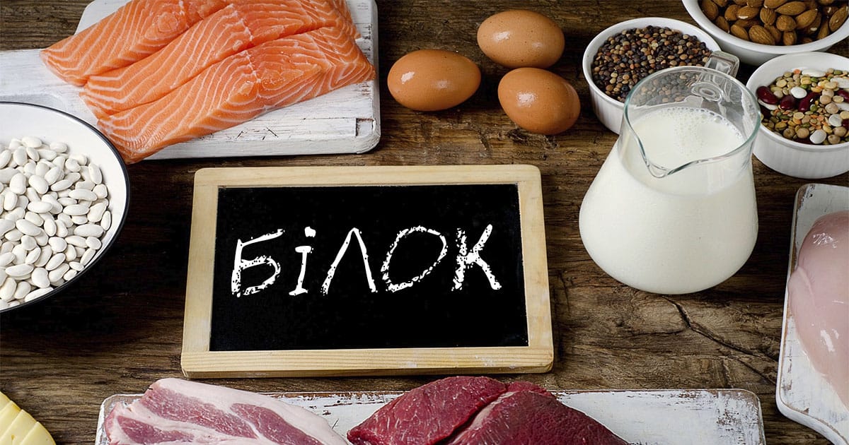 Дефіцит білка: важливість та вирішення - PREMIUM на we.ua