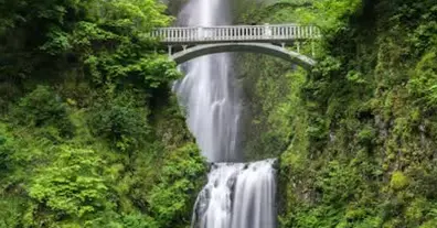 Картинка довгочиту