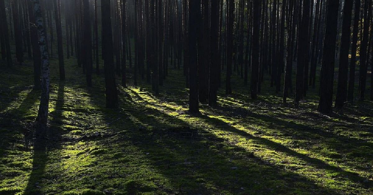 GlybokyjSon. Моя консольна Java-аплікація для гібернації ПК на Windows за розкладом - Іво Сайвс на we.ua