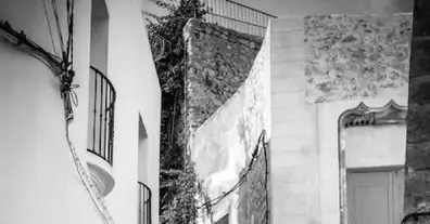 Картинка довгочиту