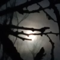 Moonrise Darkness
