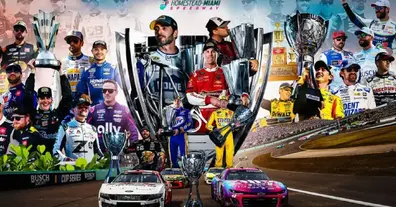 Картинка довгочиту