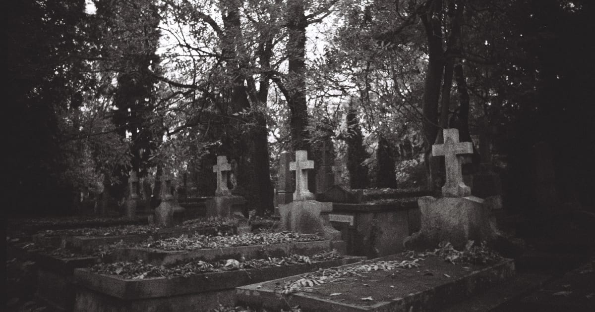 Листопад - Rostyslav Kuzyk на we.ua