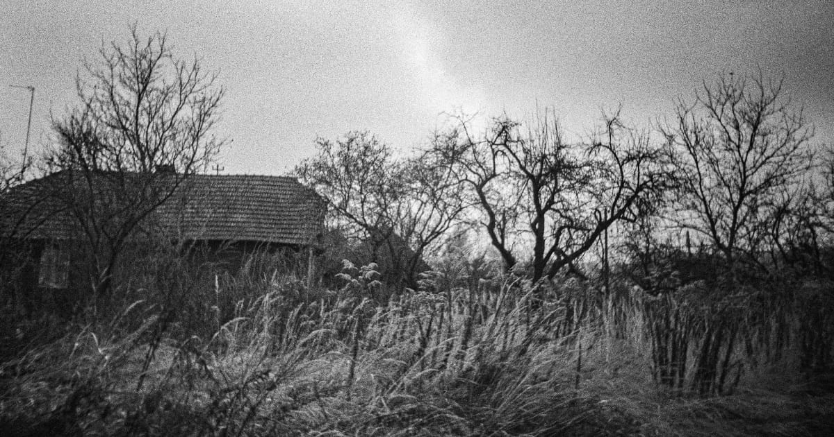 Холодає - Rostyslav Kuzyk на we.ua